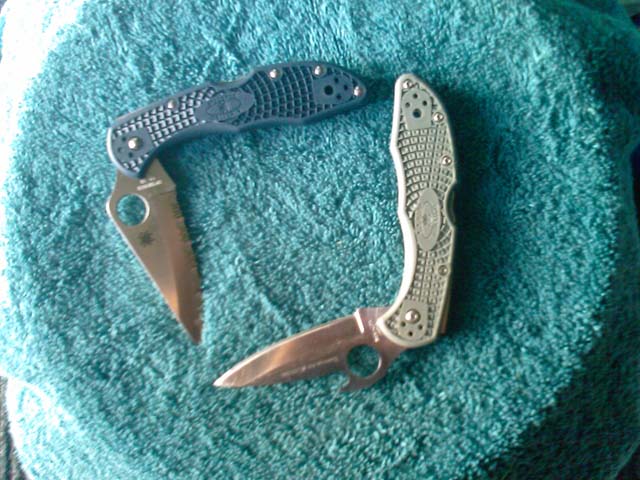 delica.jpg