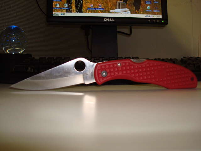 DSC00750.jpg