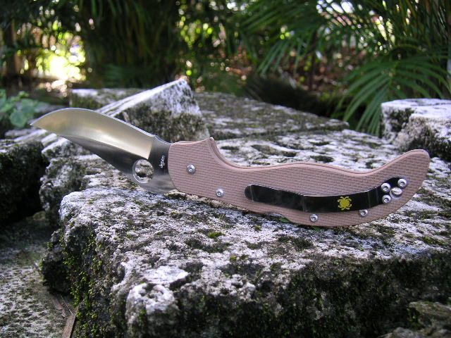 g10persian5a.jpg