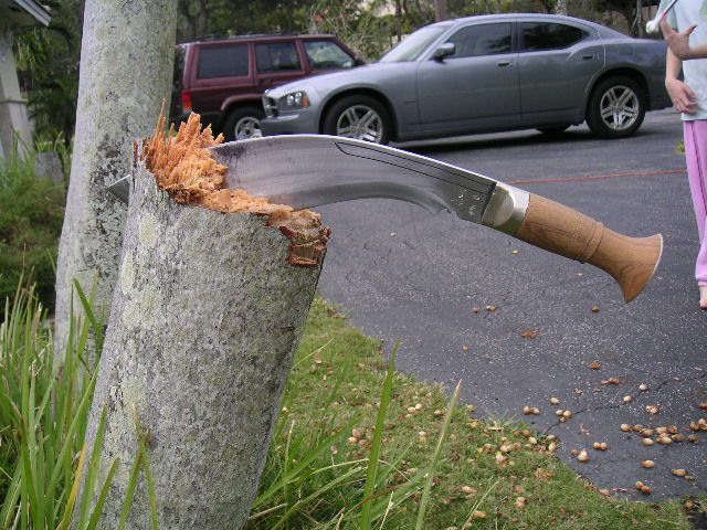 PICT0009a.jpg