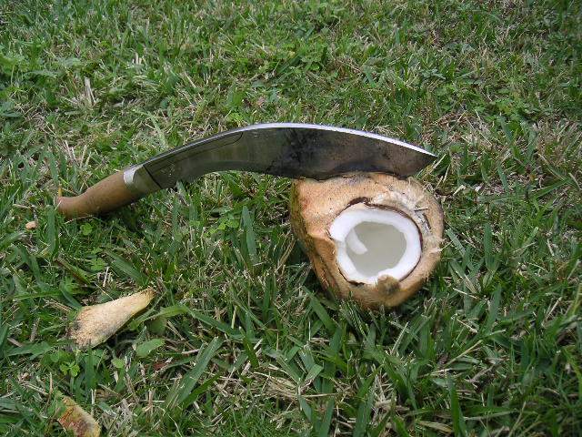 PICT010a.jpg