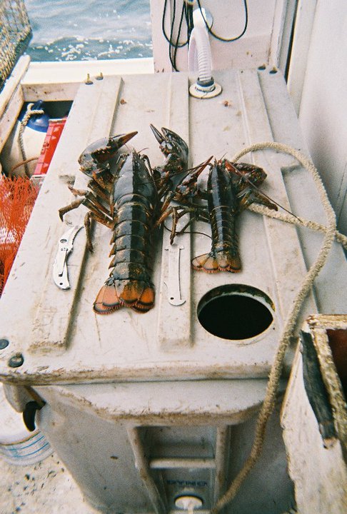 oversize lobster with legal lobster.jpg