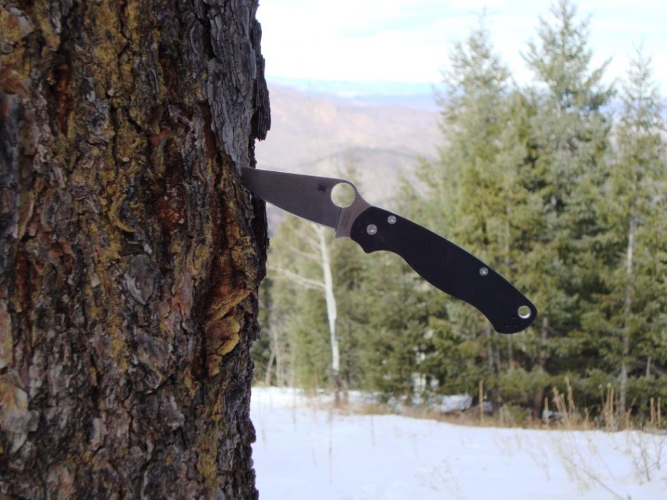 Para2 at Indian Creek.jpg