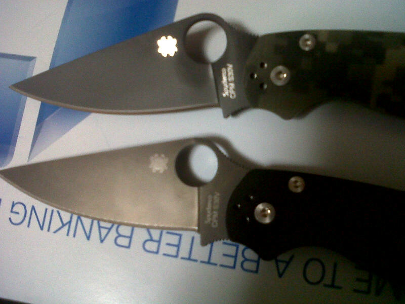 PM2 beauties.jpg