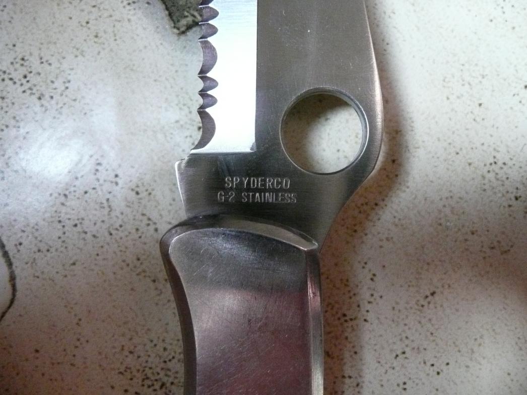 P1000047.jpg