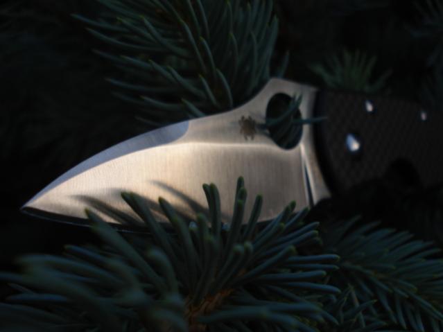 spyderco shizzle 002.jpg