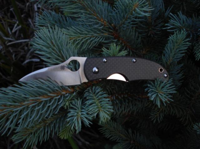 spyderco shizzle 001.jpg