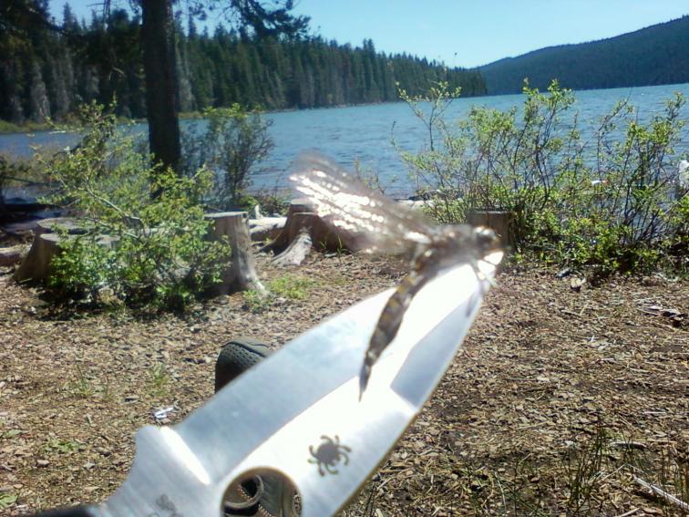 photo.jpg