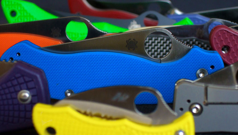 Para 2 sea of color.jpg