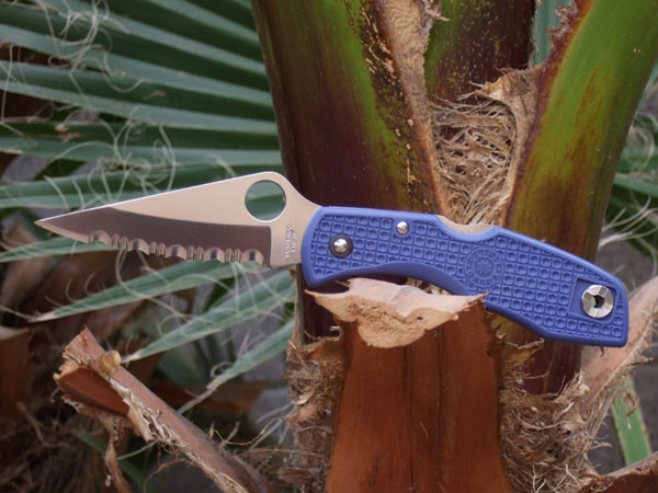 Blue Delica.jpg
