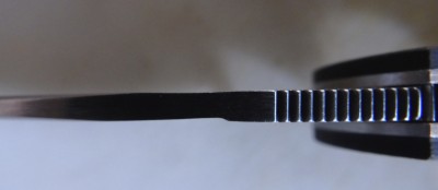 native5-1.jpg