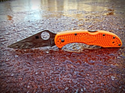 Delica4 1.jpg