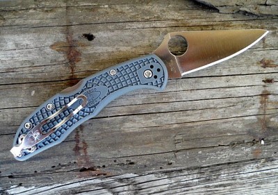 delica.JPG