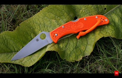 spyderco_endura_orange_9754.jpg