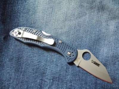 delica kahr arms (3).JPG