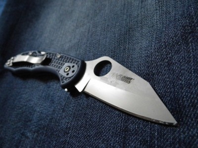 delica kahr arms (1).JPG