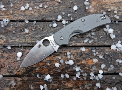 Spyderco Sage 2 Hailstorm.JPG