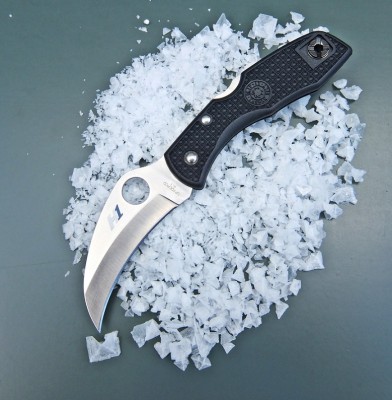 Spyderco Salt.JPG