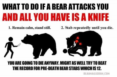 bearstab.jpg