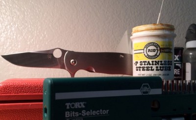 AdvocateRIG1 (Small).JPG