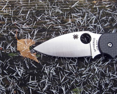 Spyderco Frost Close Up.JPG