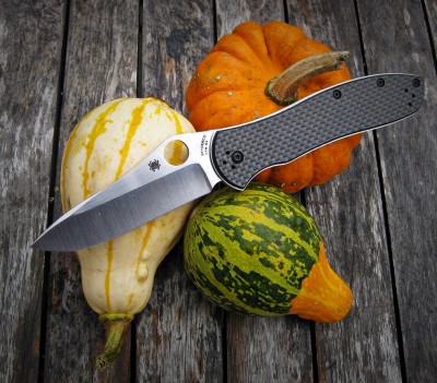 Spyderco Pumpkinland.JPG