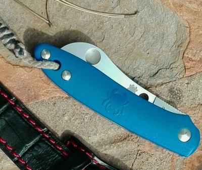 Spyderco Roadie Blue