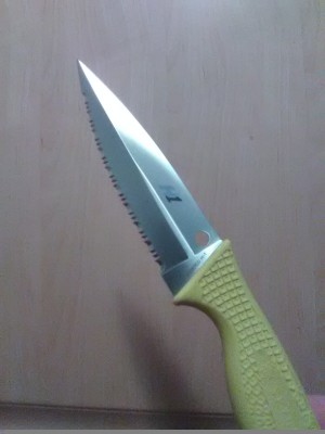 SpydercoFishHunterMe.jpg