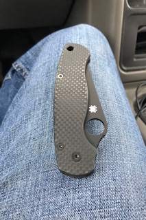 Carbon Para3.jpg