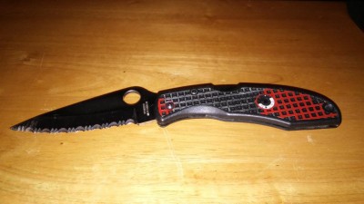 Spyderco Endura #1.jpg