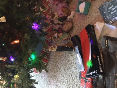 spyderco under the tree.JPG