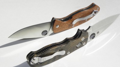 wood-spyders_8590868016_o.jpg