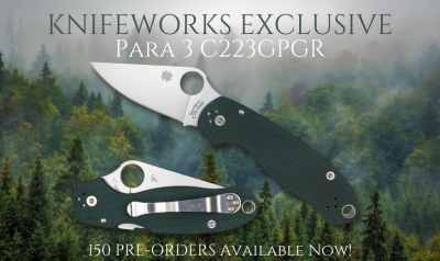 Para 3 C223GPGR Banner-1.png