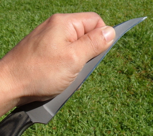 CeyaHawk_detailgrip.jpg