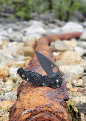 Manix 2 On Rusty Pipe.jpg