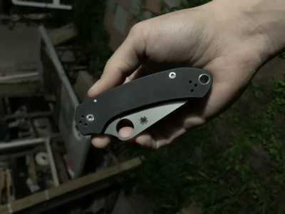 A nice picture of my para 3 with titanium scales. Simple, but beautiful I think I like the simplicity.