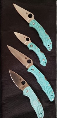 Teal Spydies.jpg