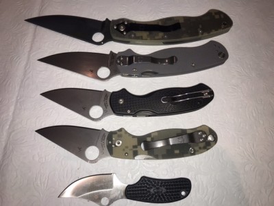 image5.jpeg