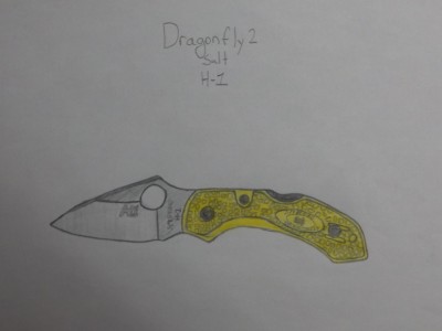 spydercodragonfly.jpg