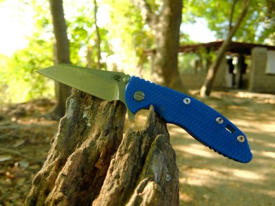 hinderer tree stump.jpg