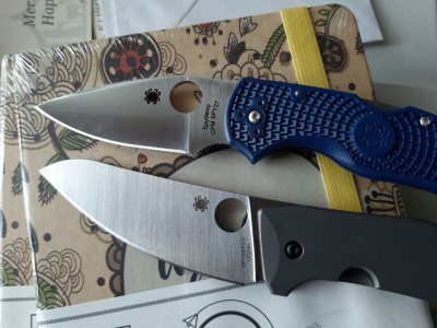 native 5 and spydiechef.jpg