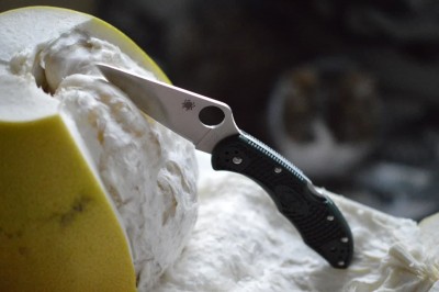 spyderco-delica-204p.jpg