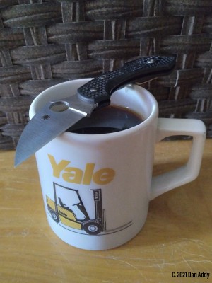 Spydie And Coffee.jpg