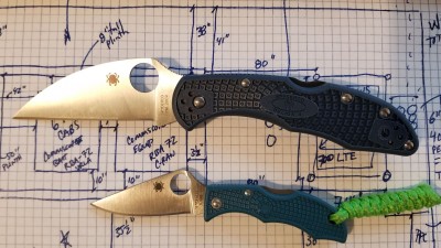 WARNDELICA-K390LADYBUGRESIZED.jpg