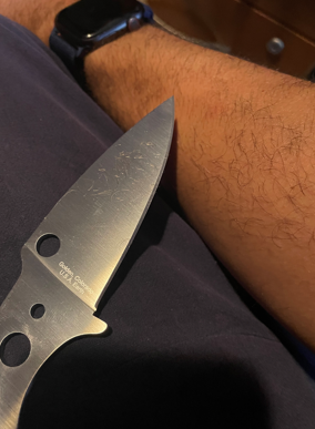 mule2.PNG