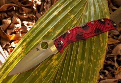 endela k390 palm.jpg