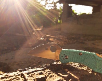 delica_teal_wharnie_02.jpg