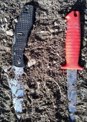 IMG_20220619_201612389firststomp (2).jpg