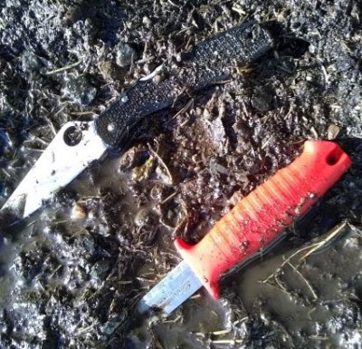 IMG_20220619_202113300hvmmuck (2).jpg