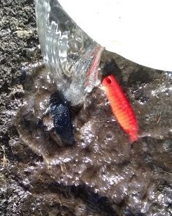 IMG_20220619_202126193hvmpour (2).jpg